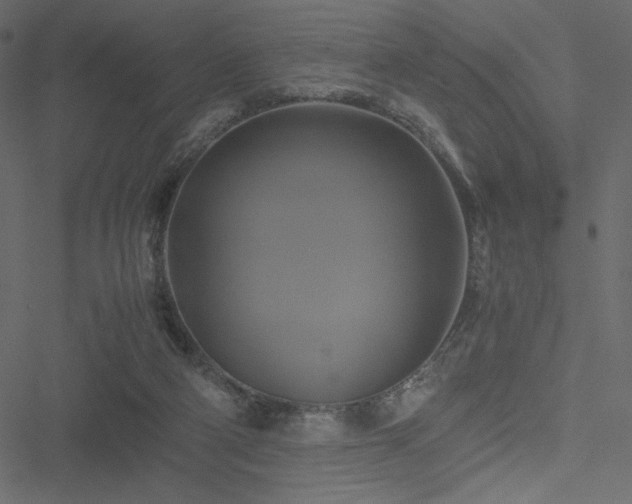 X0000051240114200506171120