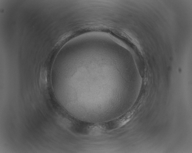 X0000051240115200506171120