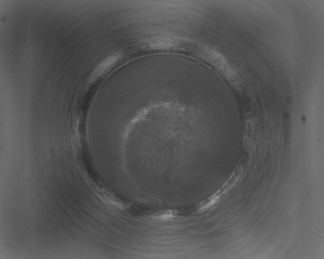 X0000051240116200506171120