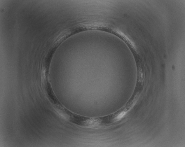 X0000051240117200506171120