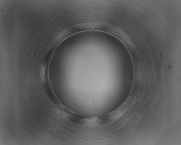 X0000051240118200506171120