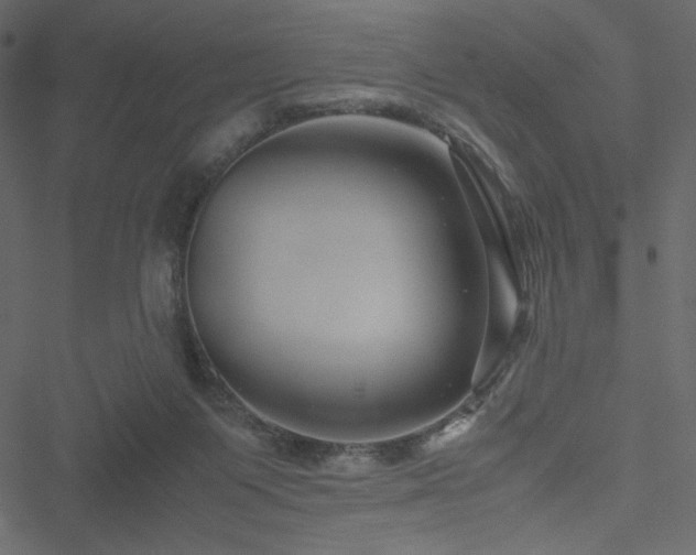 X0000051240119200506171120