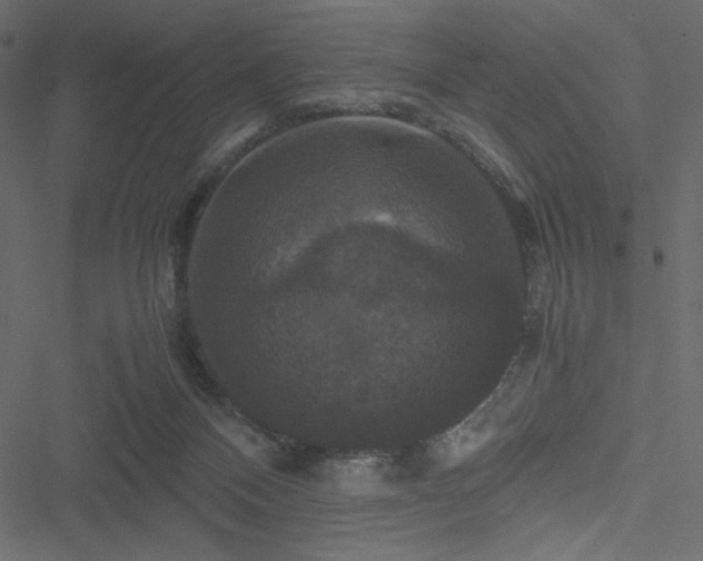 X0000051240120200506171120