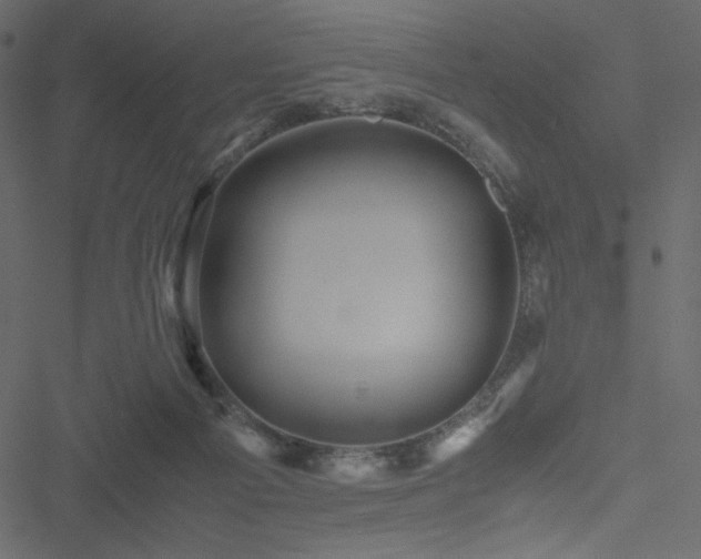 X0000051240121200506171120