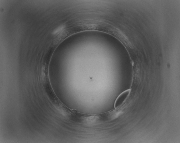 X0000051240122200506171120