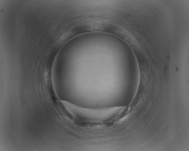 X0000051240123200506171120