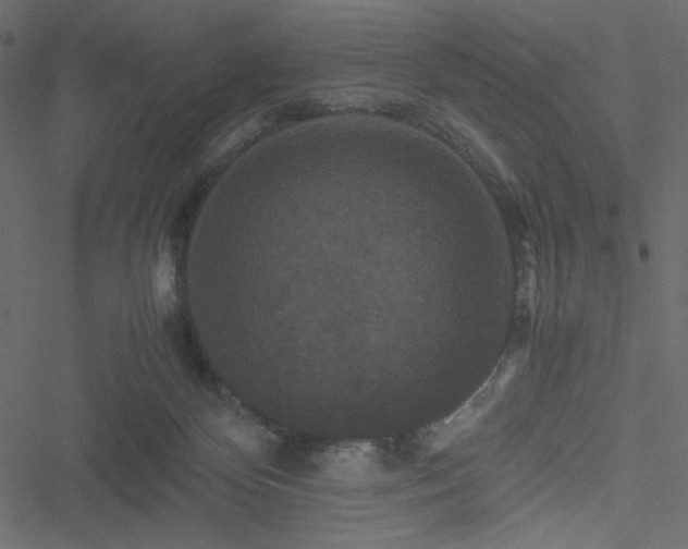 X0000051240124200506171120