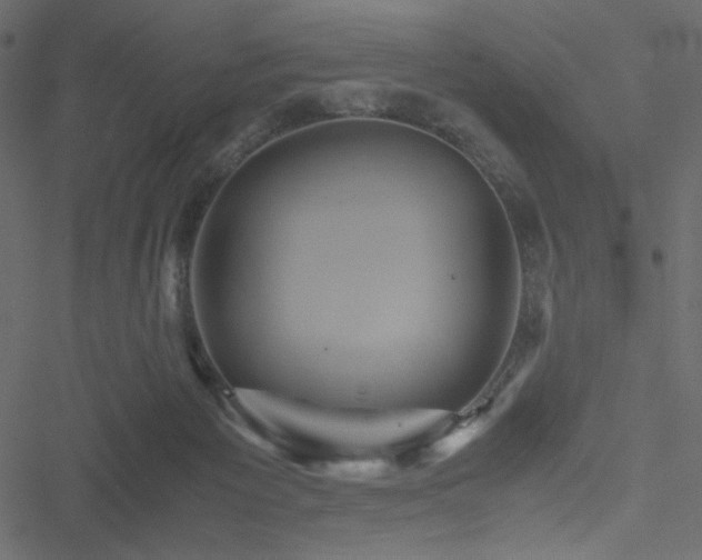 X0000051240125200506171120