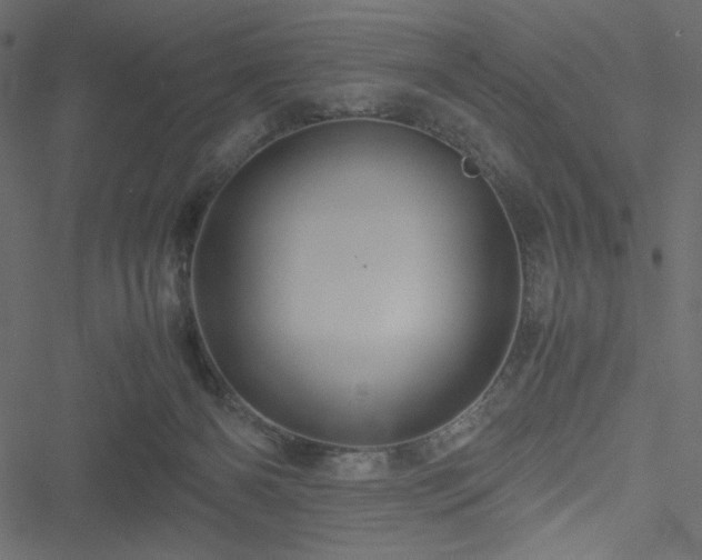 X0000051240126200506171120