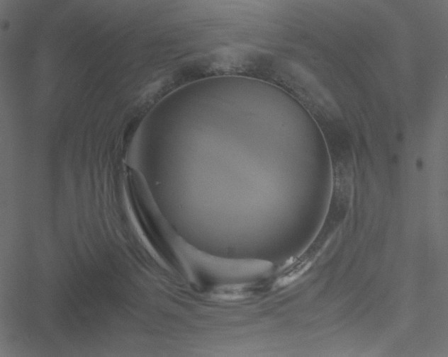 X0000051240127200506171120