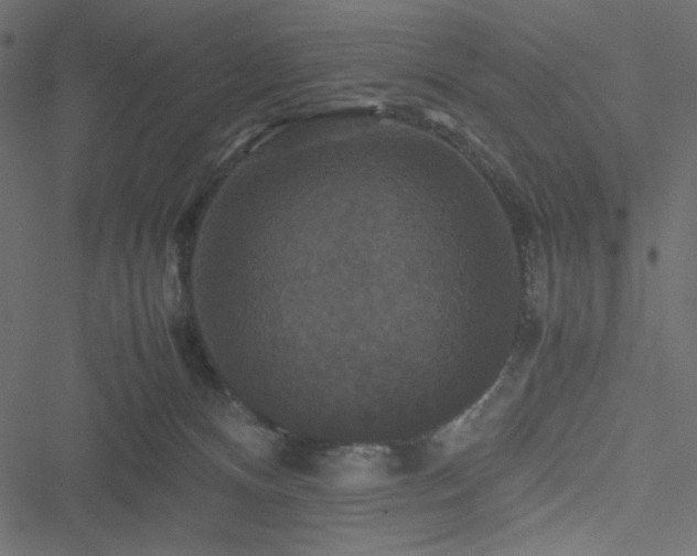 X0000051240128200506171120