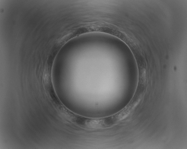 X0000051240129200506171120