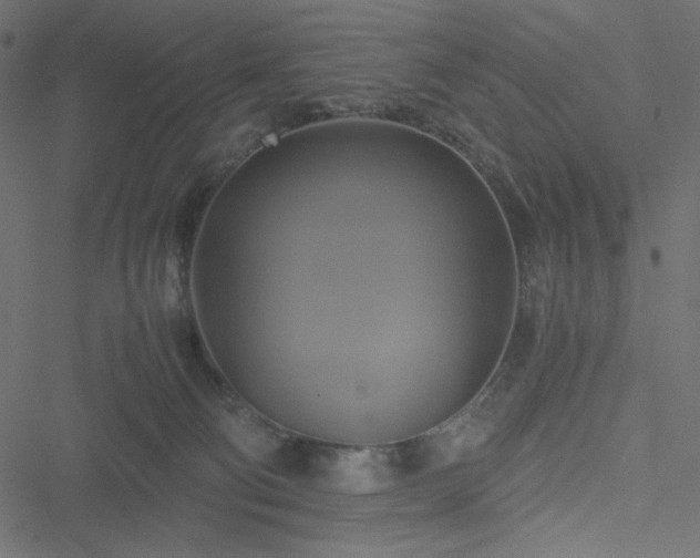 X0000051240130200506171120