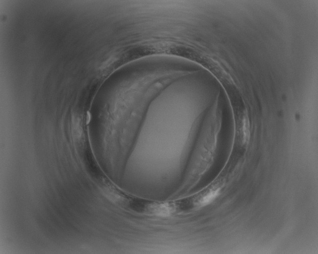 X0000051240131200506171120