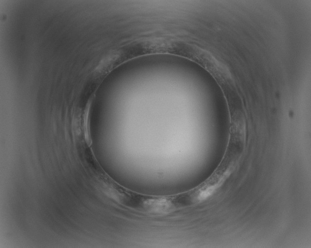 X0000051240133200506171120