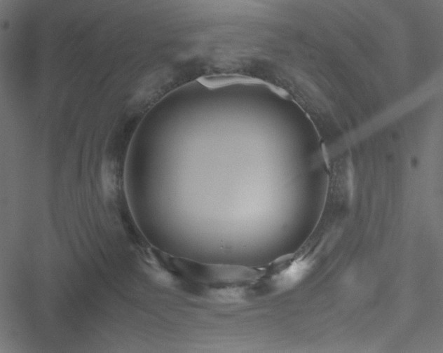 X0000051240135200506171120