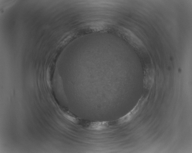 X0000051240136200506171120