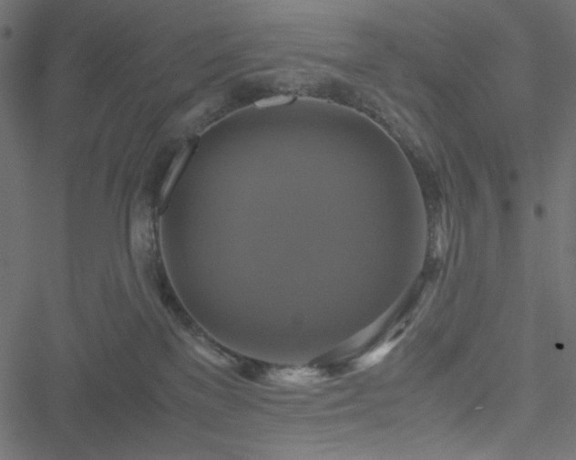 X0000051240137200506171120