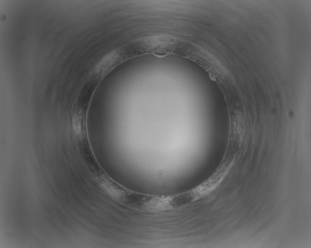 X0000051240138200506171120