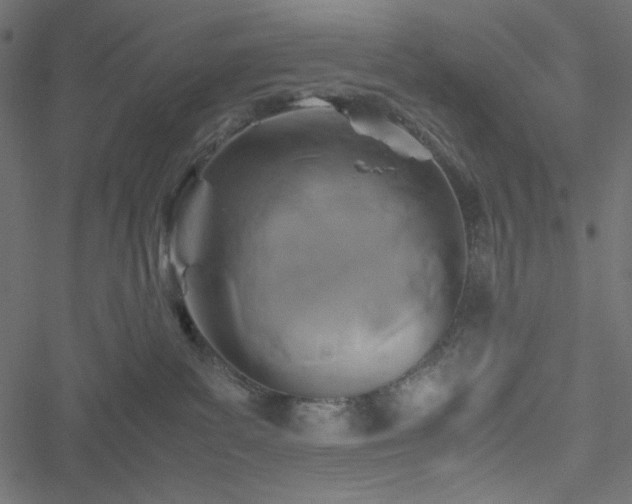 X0000051240139200506171120