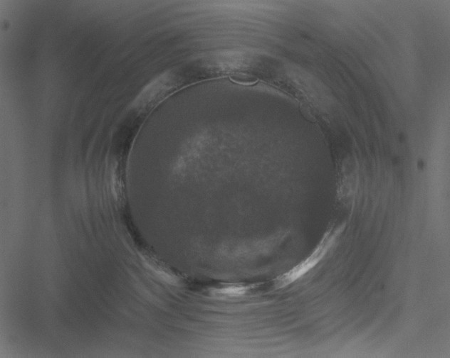 X0000051240140200506171120