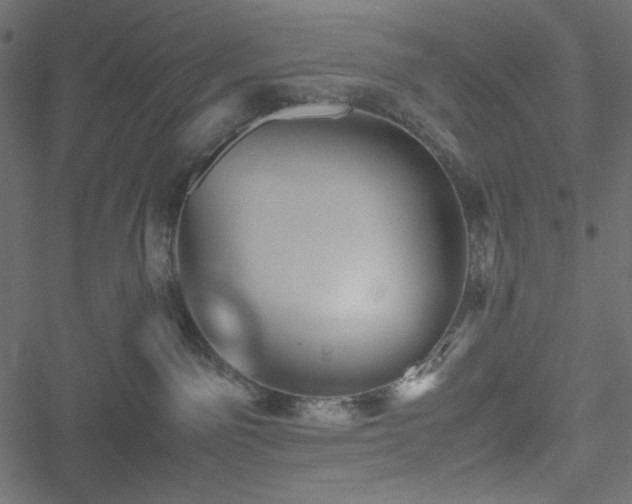 X0000051240141200506171120