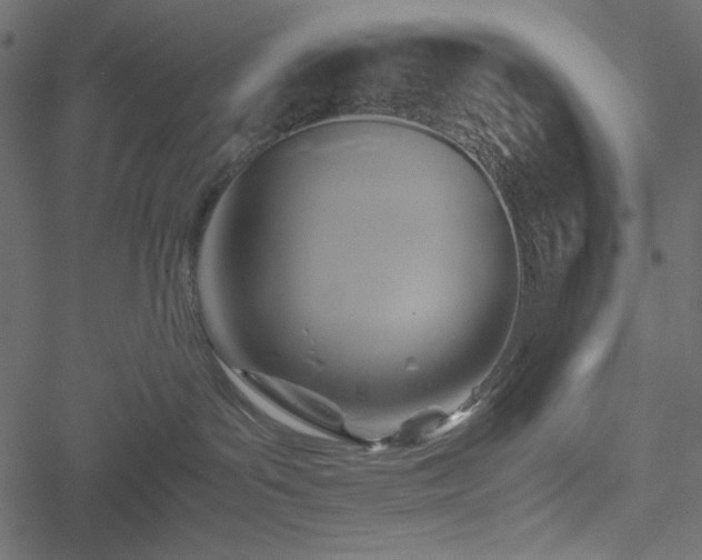 X0000051240143200506171120