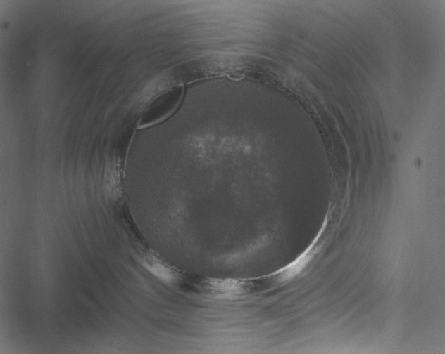 X0000051240144200506171120