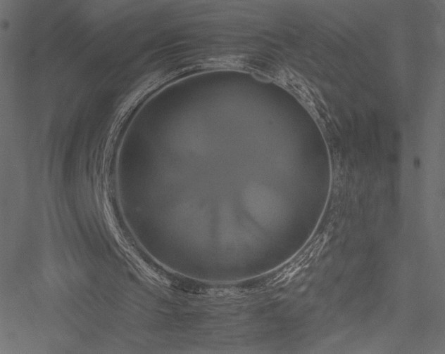 X0000051240145200506171119