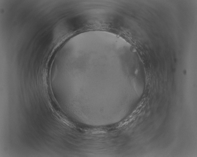 X0000051240146200506171119