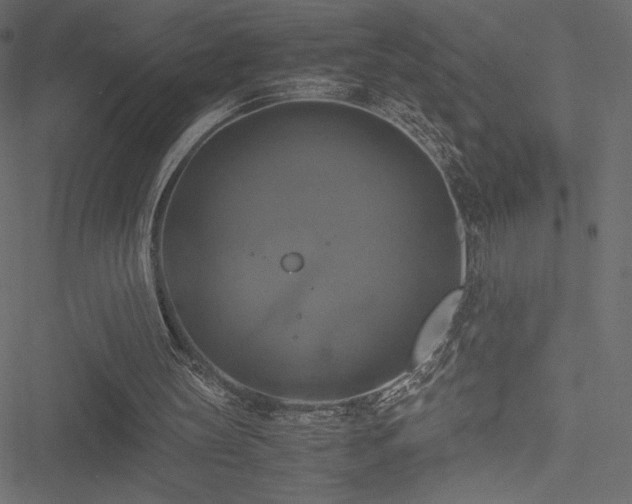 X0000051240147200506171119