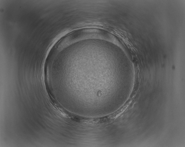 X0000051240148200506171119