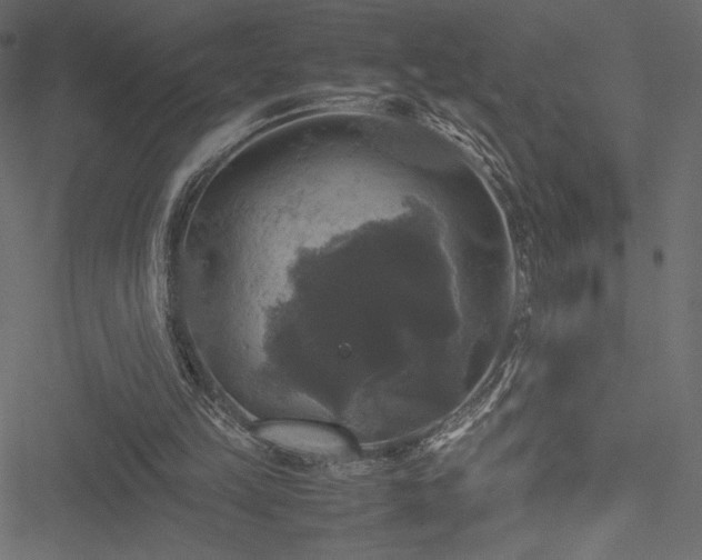 X0000051240149200506171119