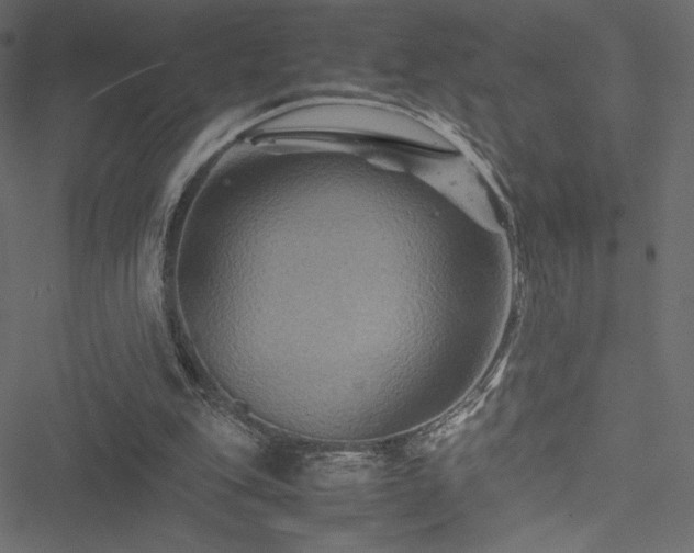 X0000051240151200506171119