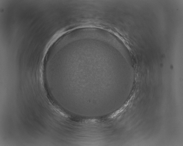 X0000051240152200506171119