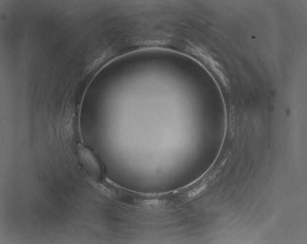 X0000051240153200506171119