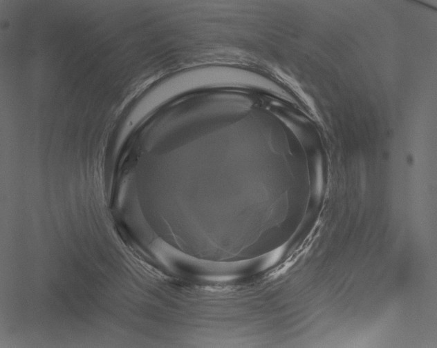 X0000051240154200506171119