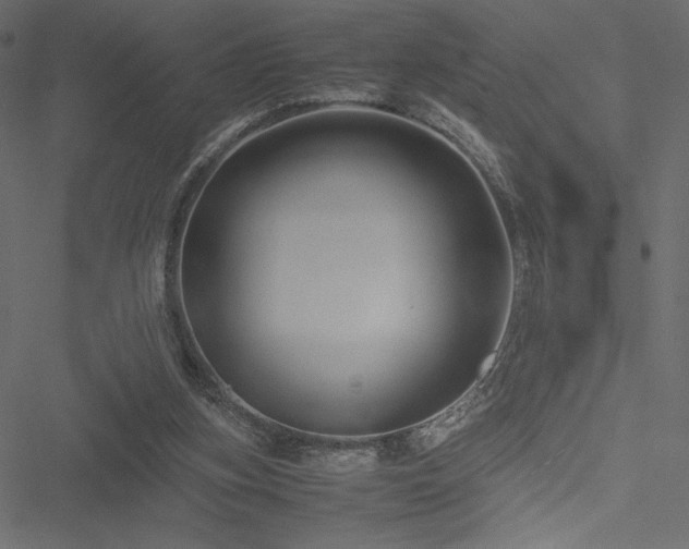 X0000051240155200506171119