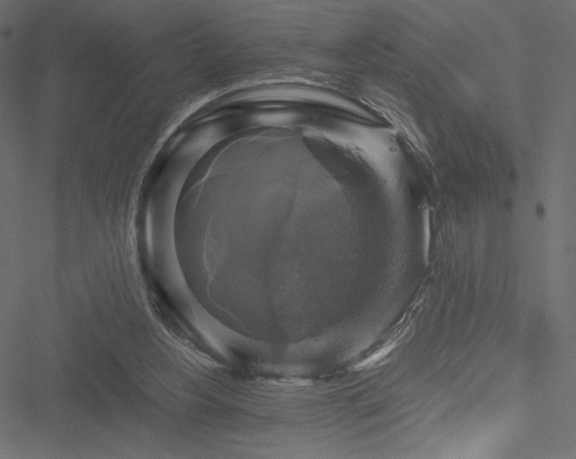 X0000051240156200506171119