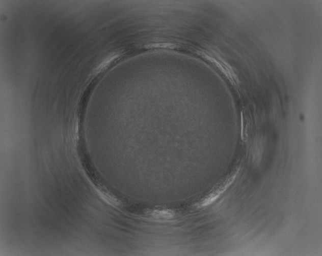 X0000051240157200506171119