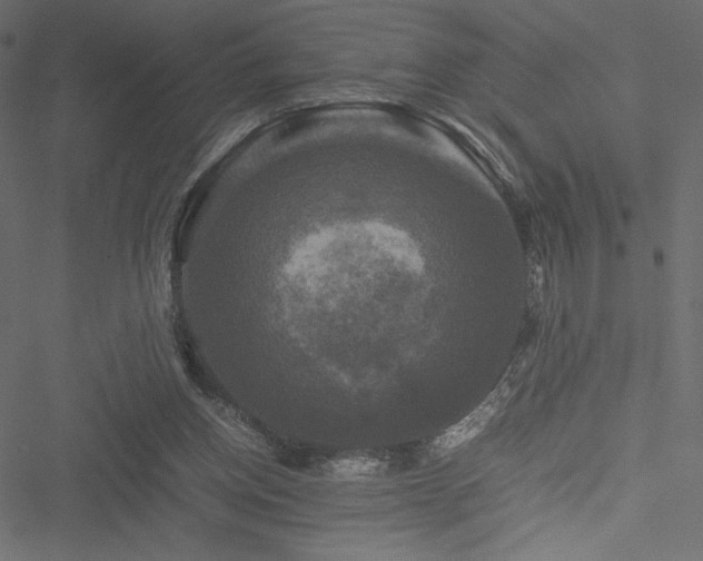 X0000051240158200506171119