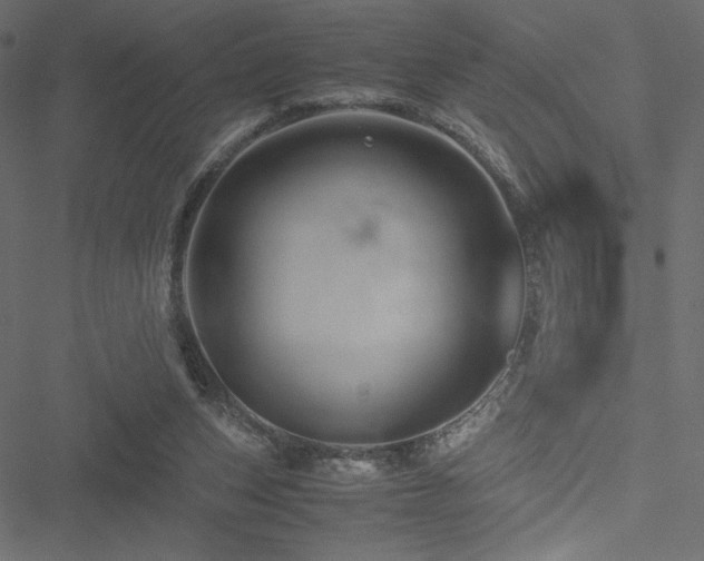 X0000051240159200506171119