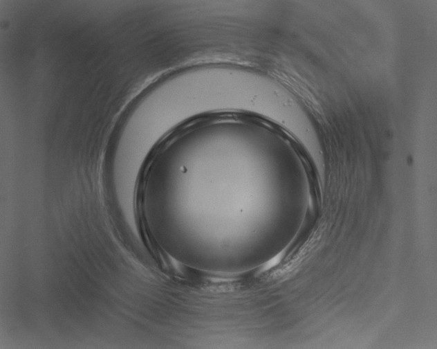 X0000051240160200506171119