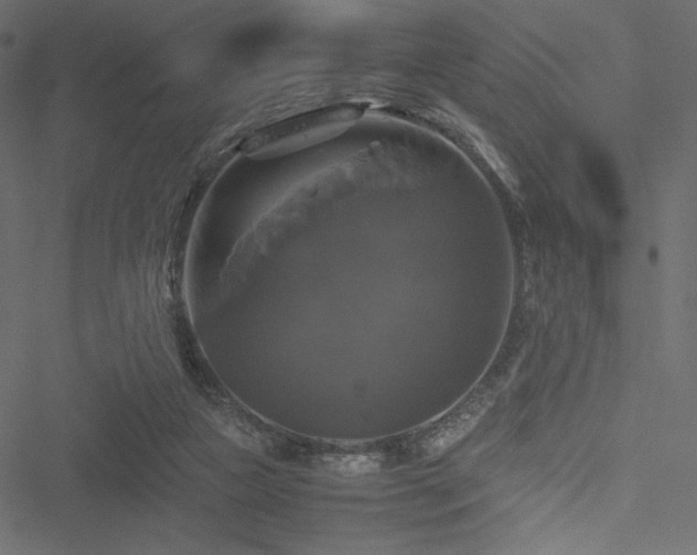 X0000051240161200506171119