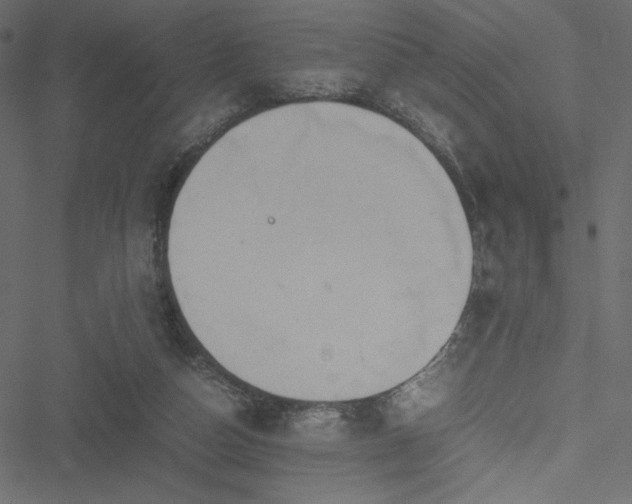 X0000051240162200506171119