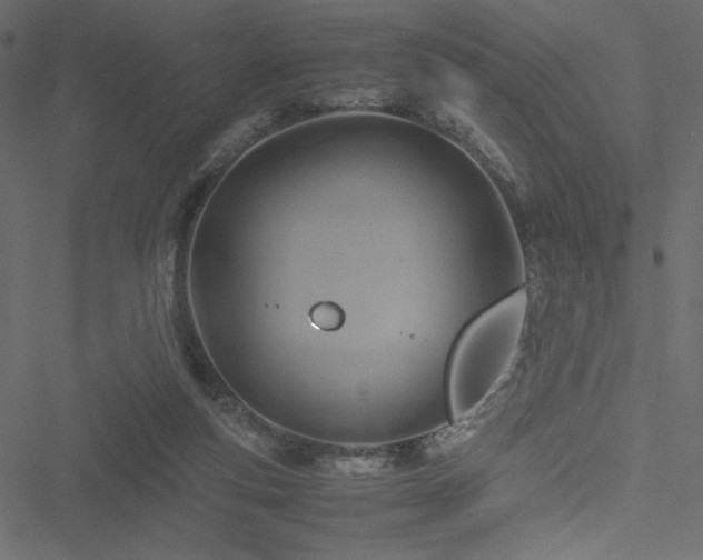 X0000051240163200506171119