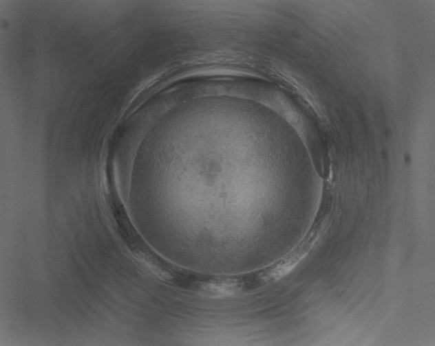 X0000051240164200506171119