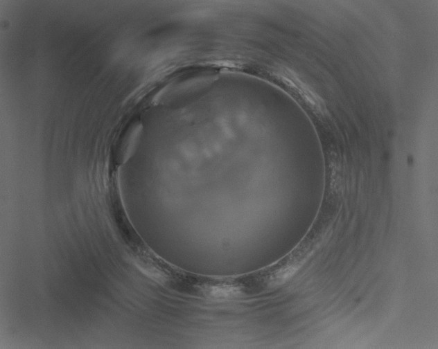 X0000051240165200506171119