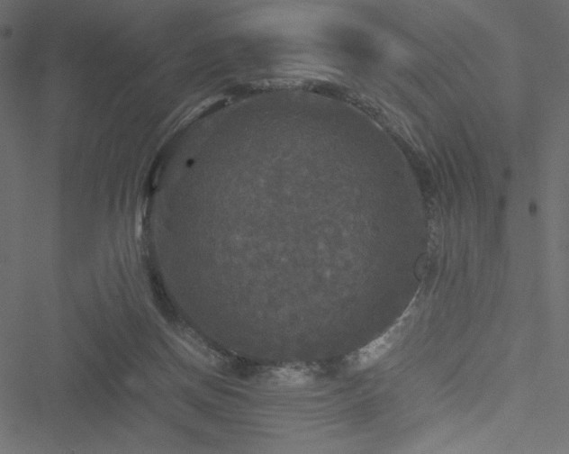 X0000051240166200506171119