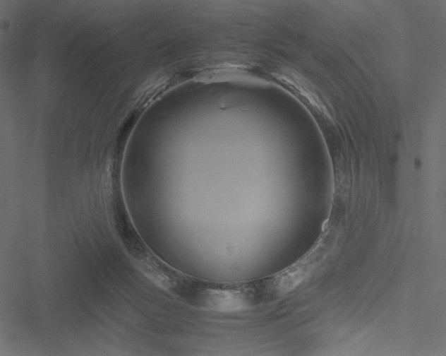 X0000051240167200506171119